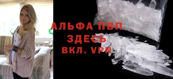 сатива Баксан