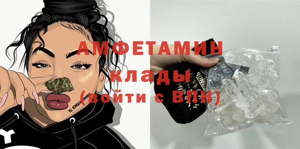 сатива Баксан