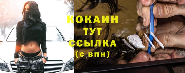 сатива Баксан