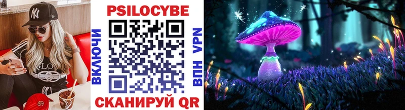 МЕГА вход  Вязьма  Псилоцибиновые грибы Magic Shrooms 